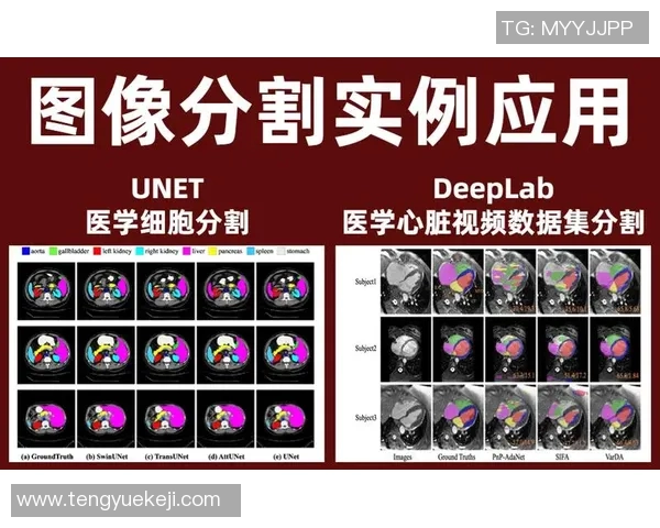 广州排球队包夹战术解析与实战应用研究