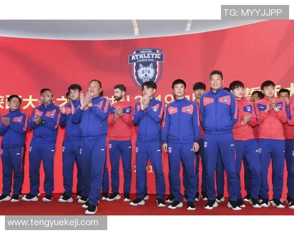 西安排球队灵活性引发热议球迷与专家各执己见探讨策略与影响