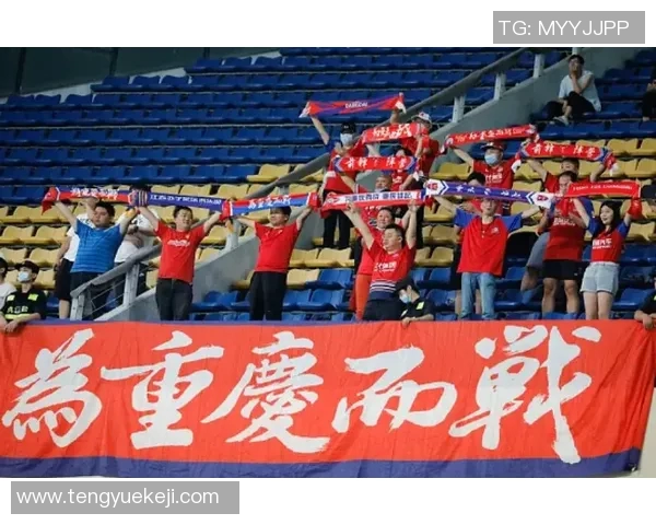 重庆排球队的拼搏历程与荣耀时刻的深度剖析与回顾