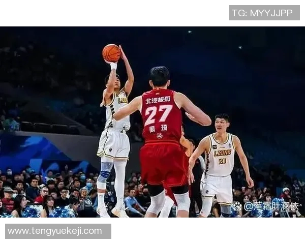 广厦与辽宁激战第二场球迷期待精彩对决与逆转奇迹