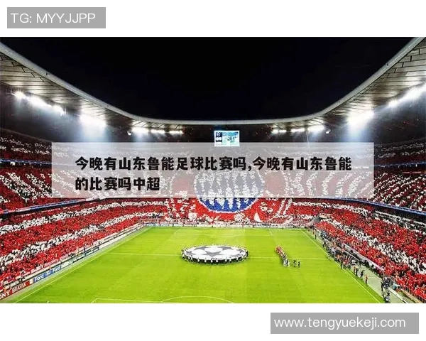 鲁能对阵鹿岛亚冠直播全程回顾与精彩瞬间分析