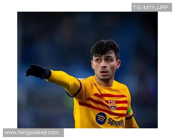 佩德里在巴萨的崛起之路与未来发展潜力分析