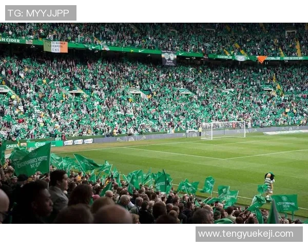 凯尔特人与猛龙对决深度解析及比赛前瞻分析