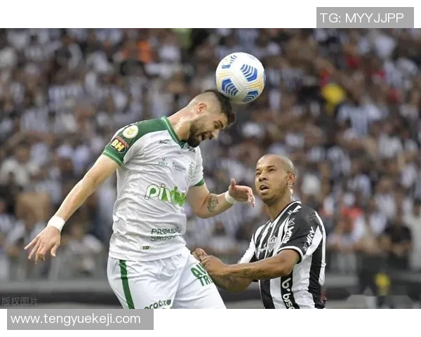 米美洲与巴拉竟争激烈谁能在这场较量中脱颖而出 米美洲与巴拉竟争激烈谁能在这场较量中脱颖而出