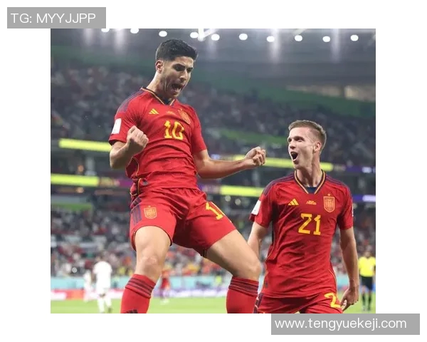 杭州足球队在世界杯中的表现分析与状态评估