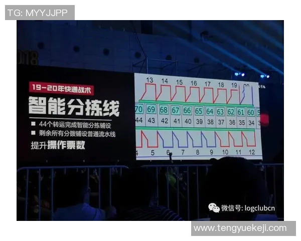 深圳排球队的战术创新与运营体系探讨与分析