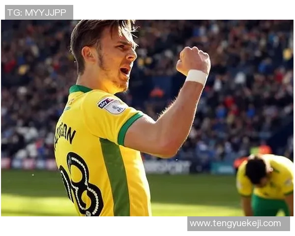 诺维奇主场迎战斯蒂文尼奇期待精彩对决与精彩进球