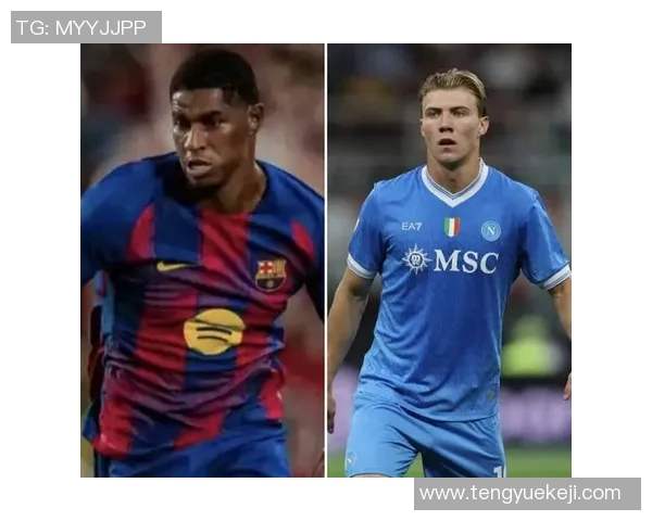 霍伊伦的传奇人生与科学探索之路：从天才少年到伟大科学家的蜕变历程