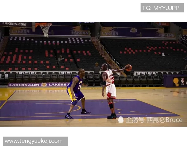 独山篮球明星的崛起之路与未来发展展望