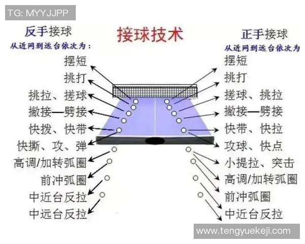 乒乓球深度解析：上海乒乓球队如何巧妙反击对手的战术秘诀